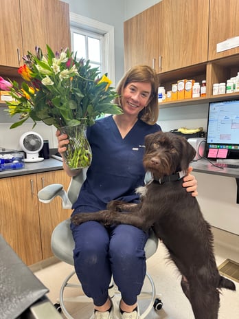 Images Southern Heart Veterinary Hospital