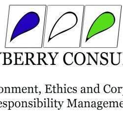 Crowberry Consulting Ltd Logo