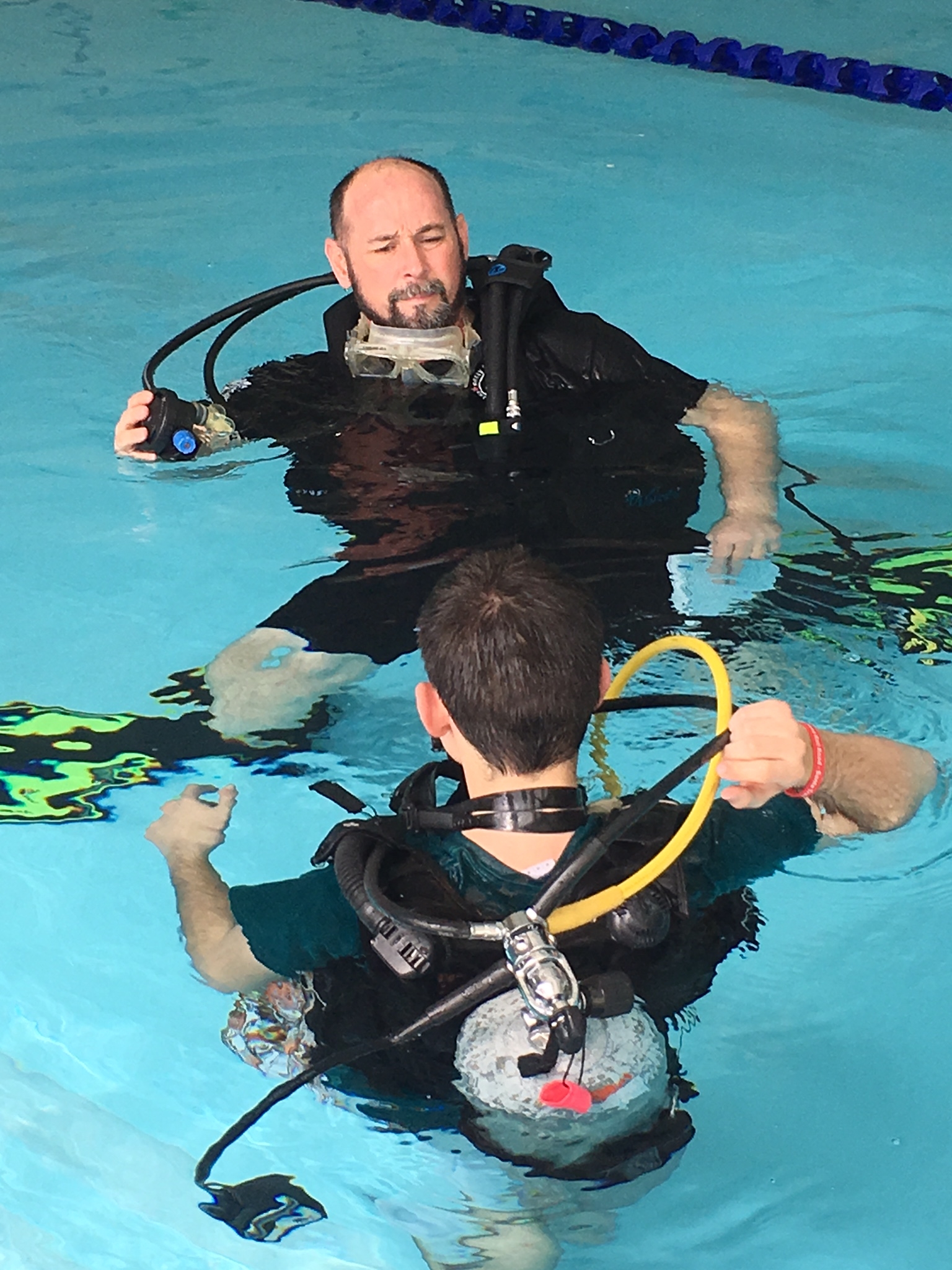 Padi coupon code