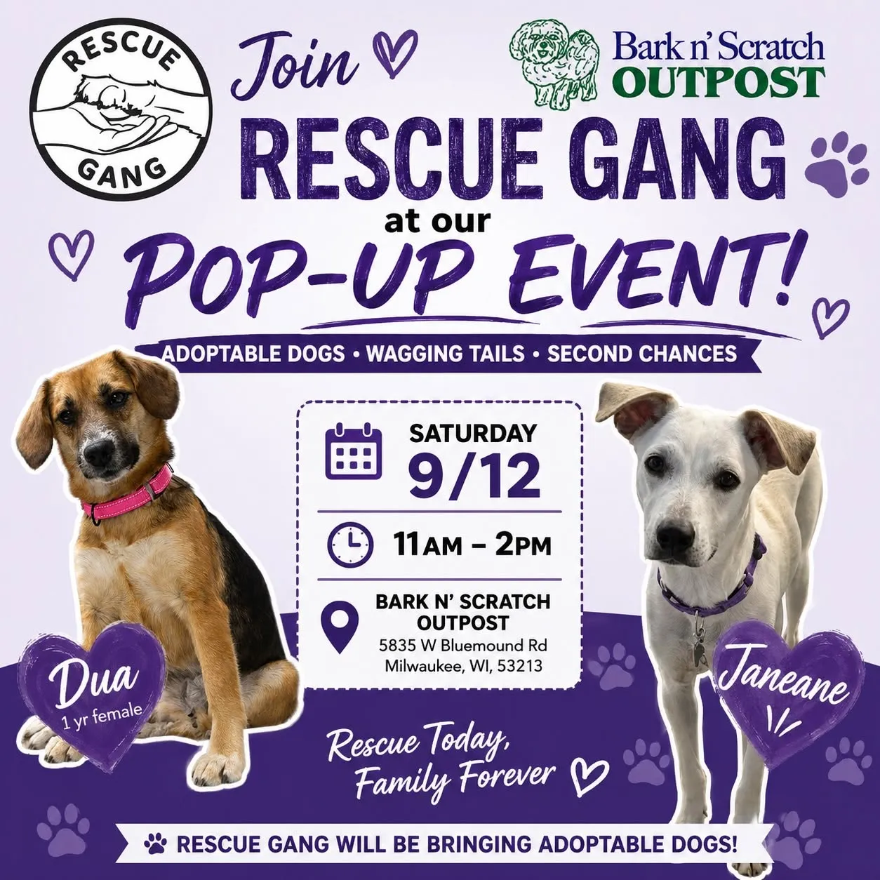 Image of Local Pet Event Rescue Gang Adoption Pop Up @ Bark n Scratch Nearby