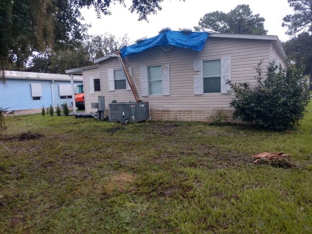 Images Branch Out Tree Service LLC