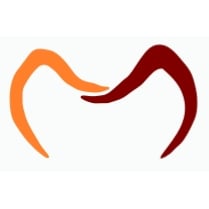 Dr.med.dent. Andreas Schlichting Zahnarztpraxis Logo