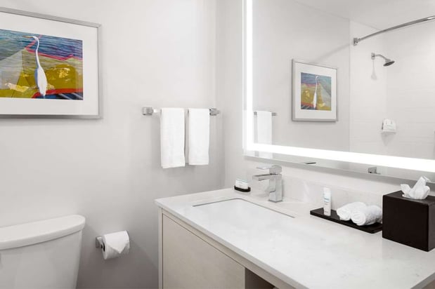 Images Embassy Suites by Hilton Tampa Airport Westshore