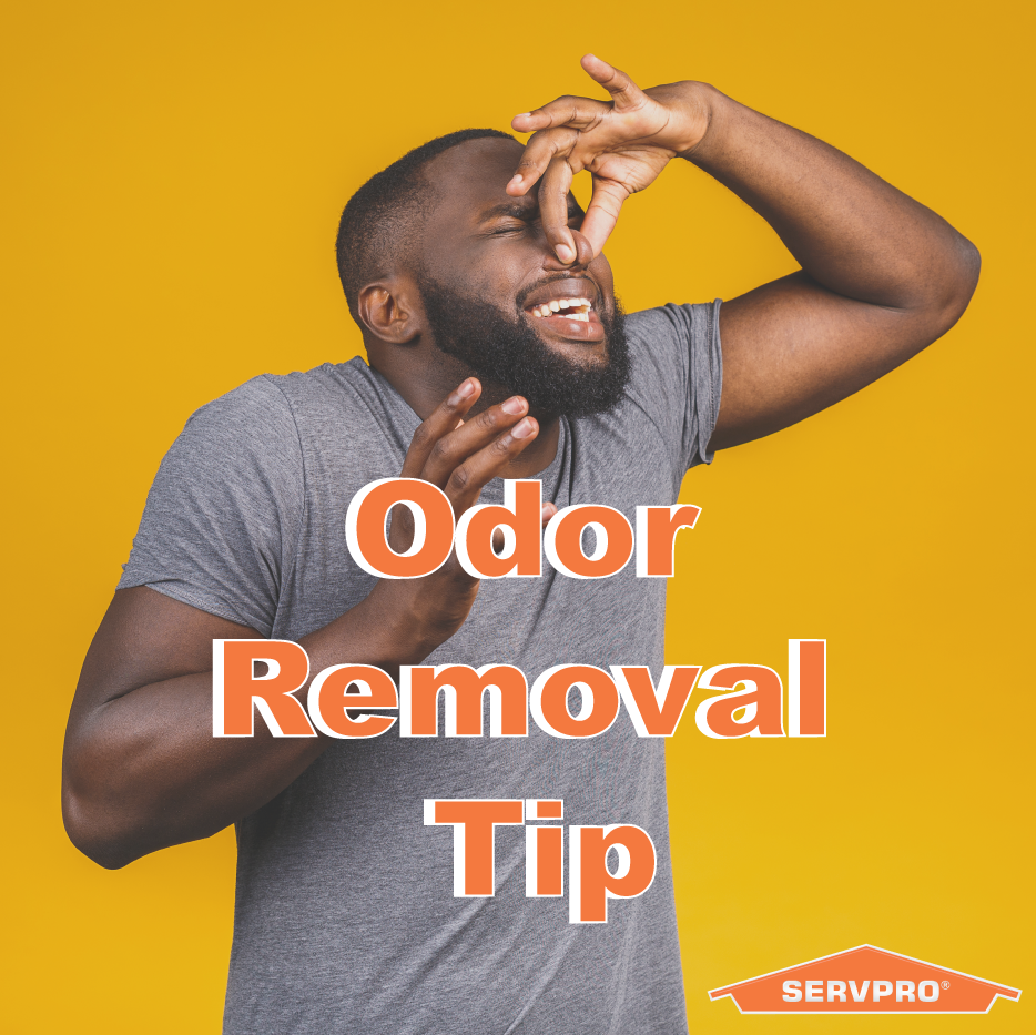 Odor Removal Tip: Absorption agents absorb moisture and odors into the deodorizing agent. An example is using baking soda in the fridge.