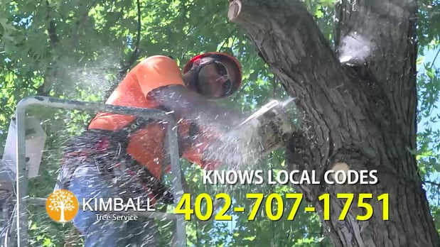 Images Kimball Tree Service
