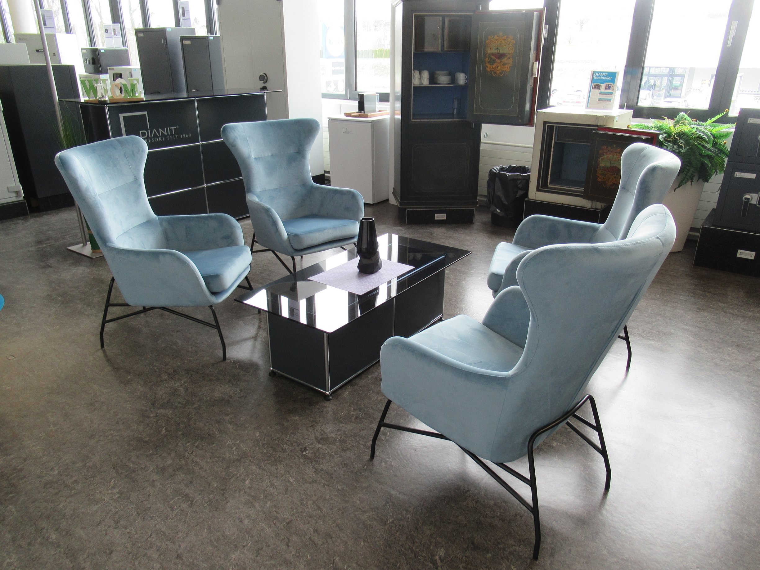 Dianit AG, Widenholzstrasse 8 in Wallisellen