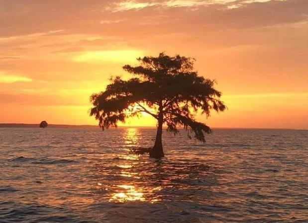 Images Bells Marina & Resort