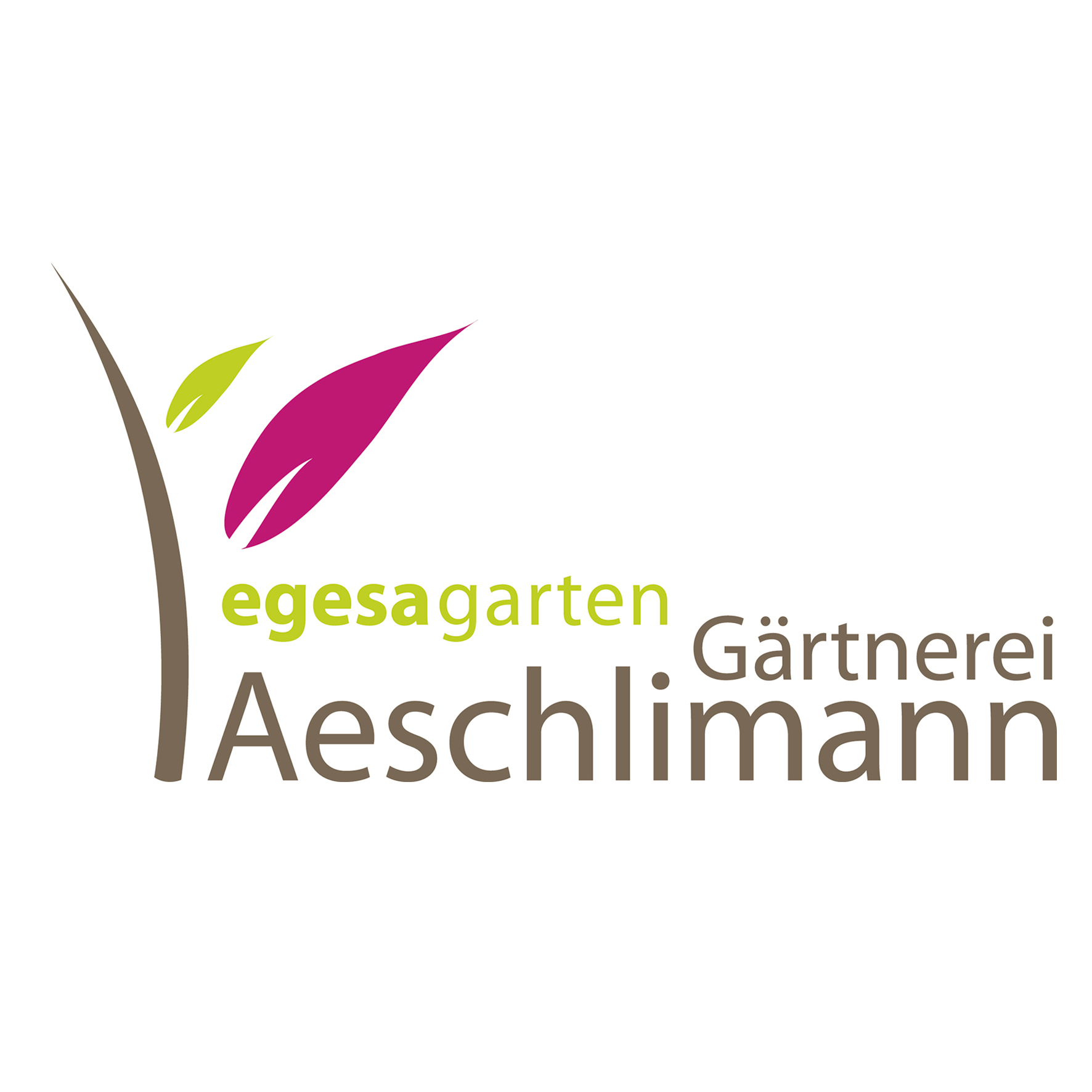 Gärtnerei Aeschlimann in Harmsdorf bei Ratzeburg - Logo