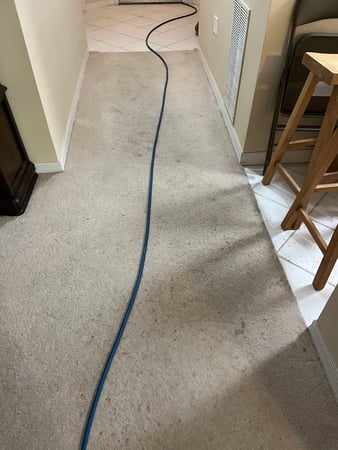 Images Voda Cleaning & Restoration