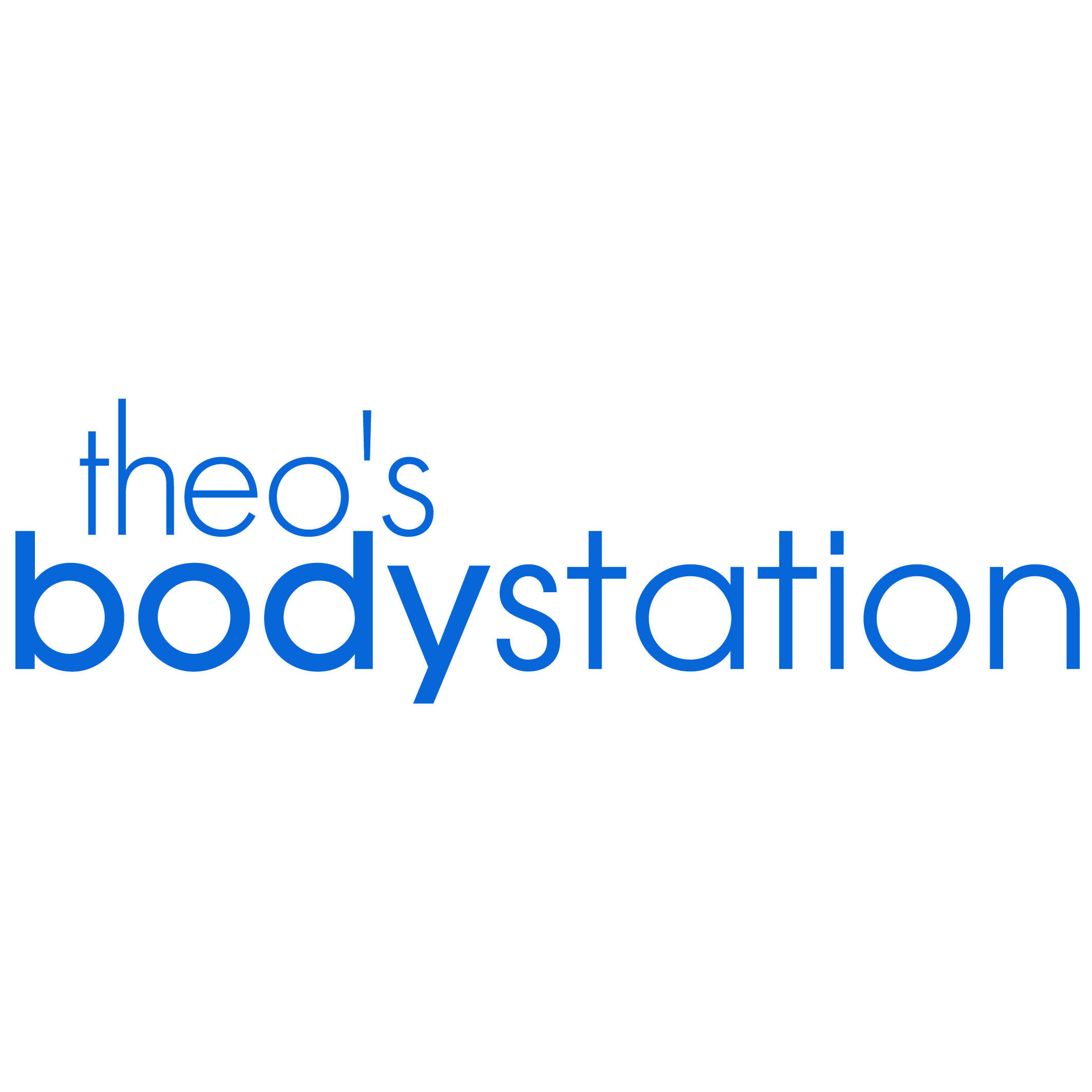 Theo's Bodystation Logo