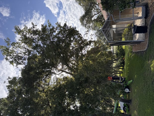 Images Trent's Tree Service The Neighborhood Arborist LLC