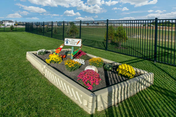 Images Primrose School of Perrysburg