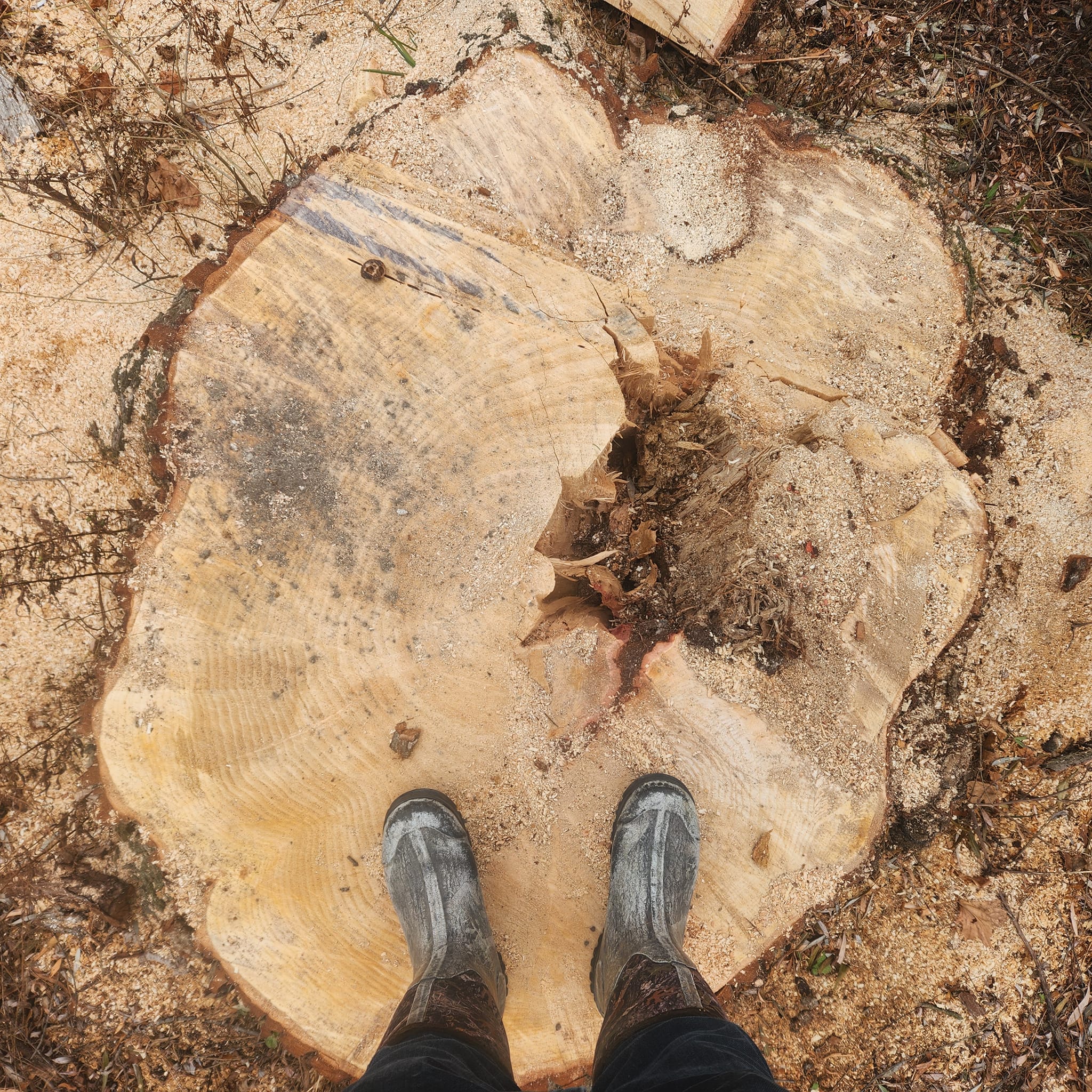 Milks Tree Service Inc Image