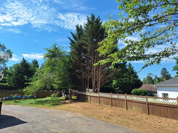 Images David Kennedy Tree & Landscaping