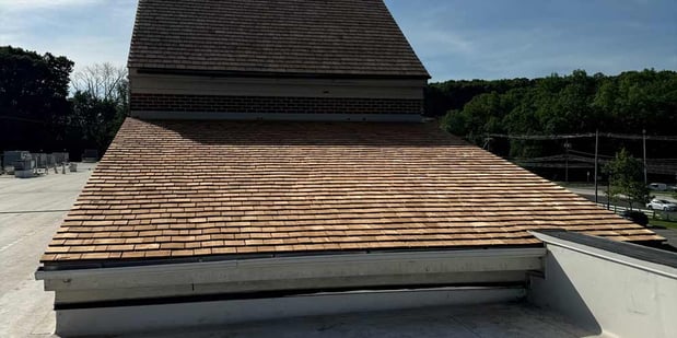 Images Roof Shark