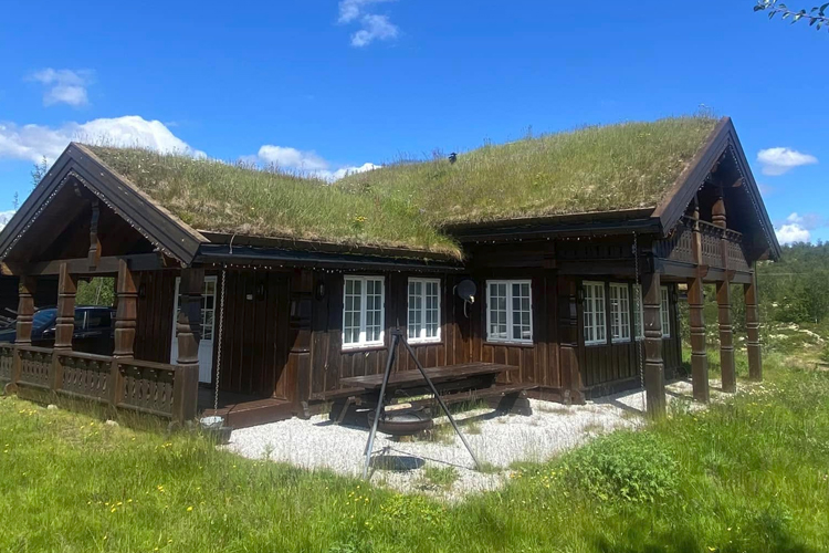 Images Aehealth - Anneche Enerhaugen