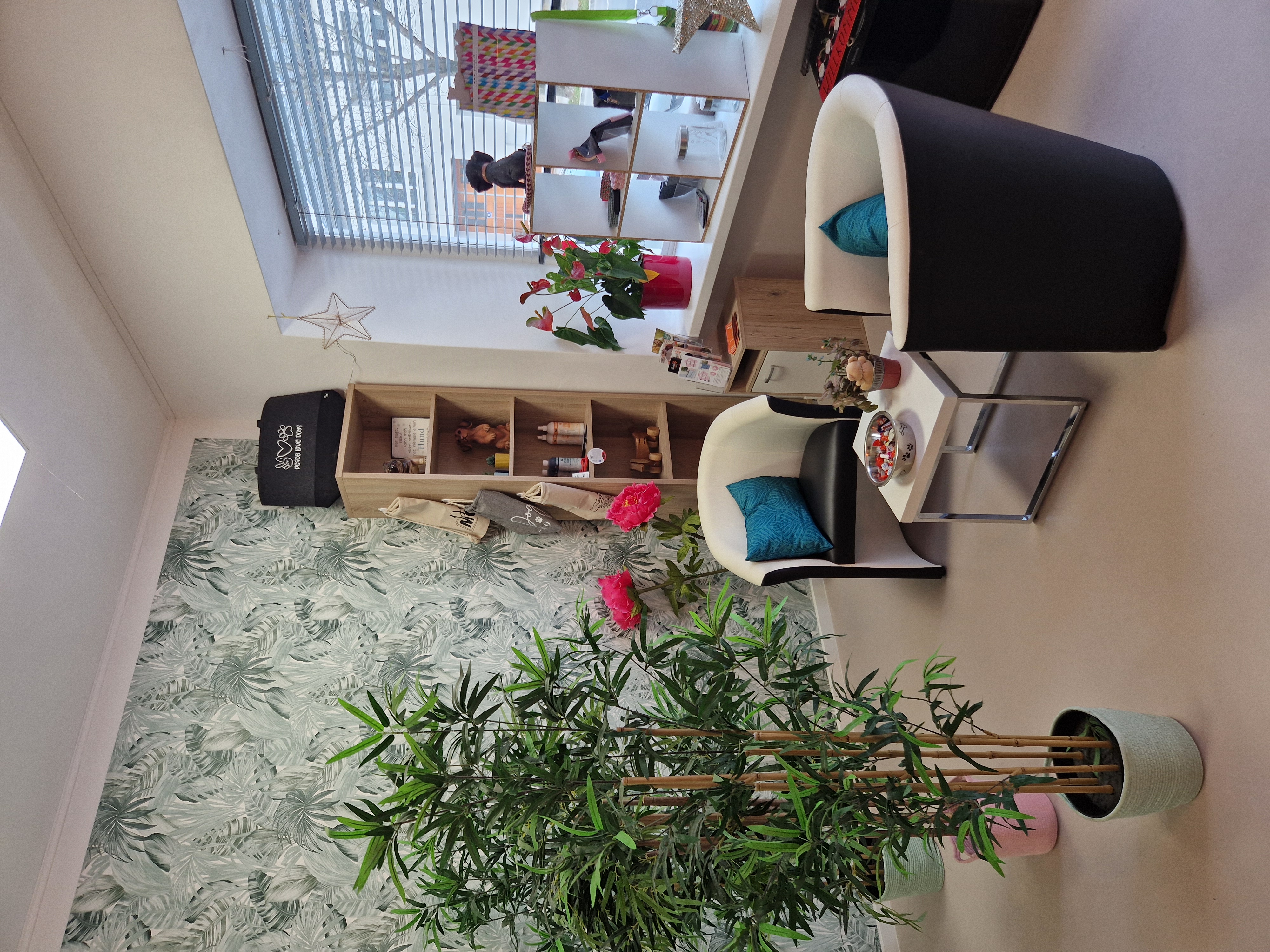 Bild 8 von Beauty-Dogs