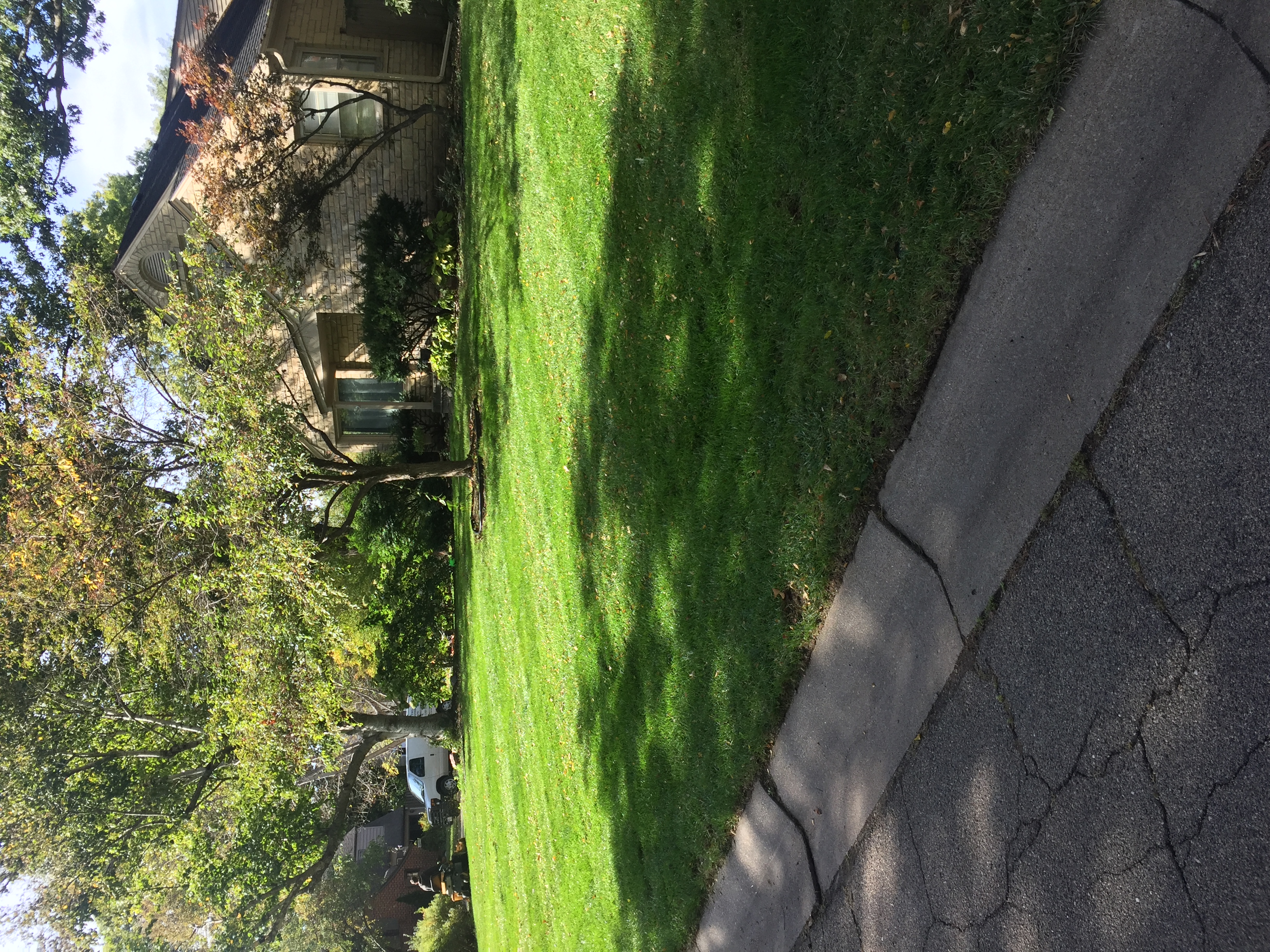 Apogee Lawns 3 