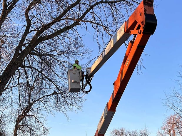 Images Wellman Tree Service