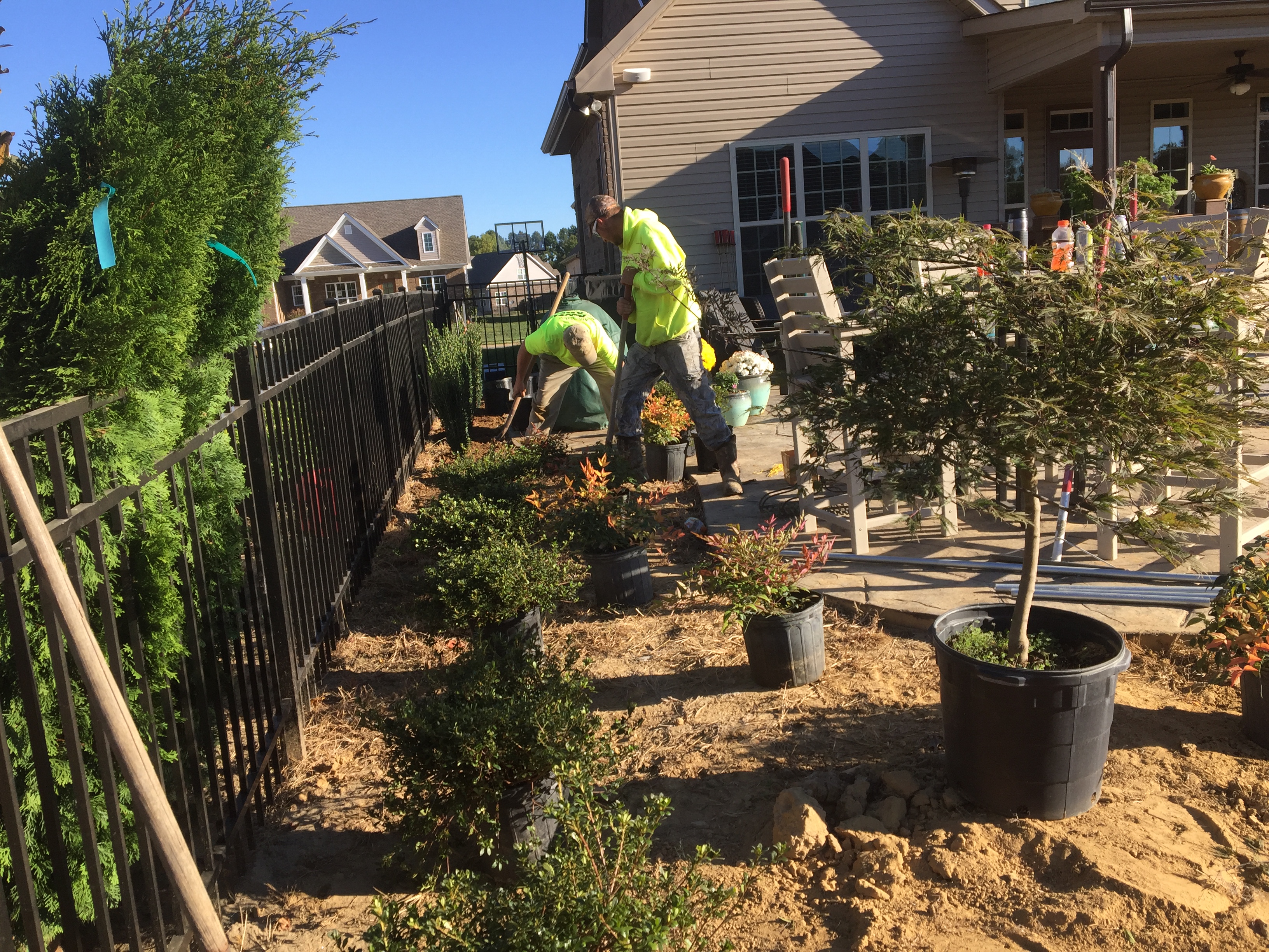 Affordable Lawn Care Image