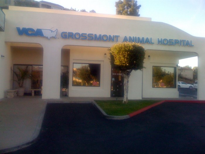 Images VCA Grossmont Animal Hospital