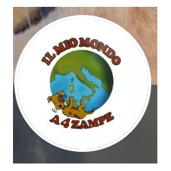 Il Mio Mondo a 4 Zampe Logo