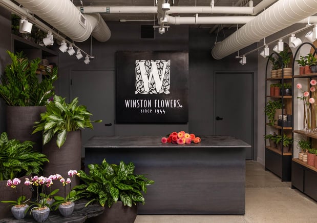 Images Winston Flowers