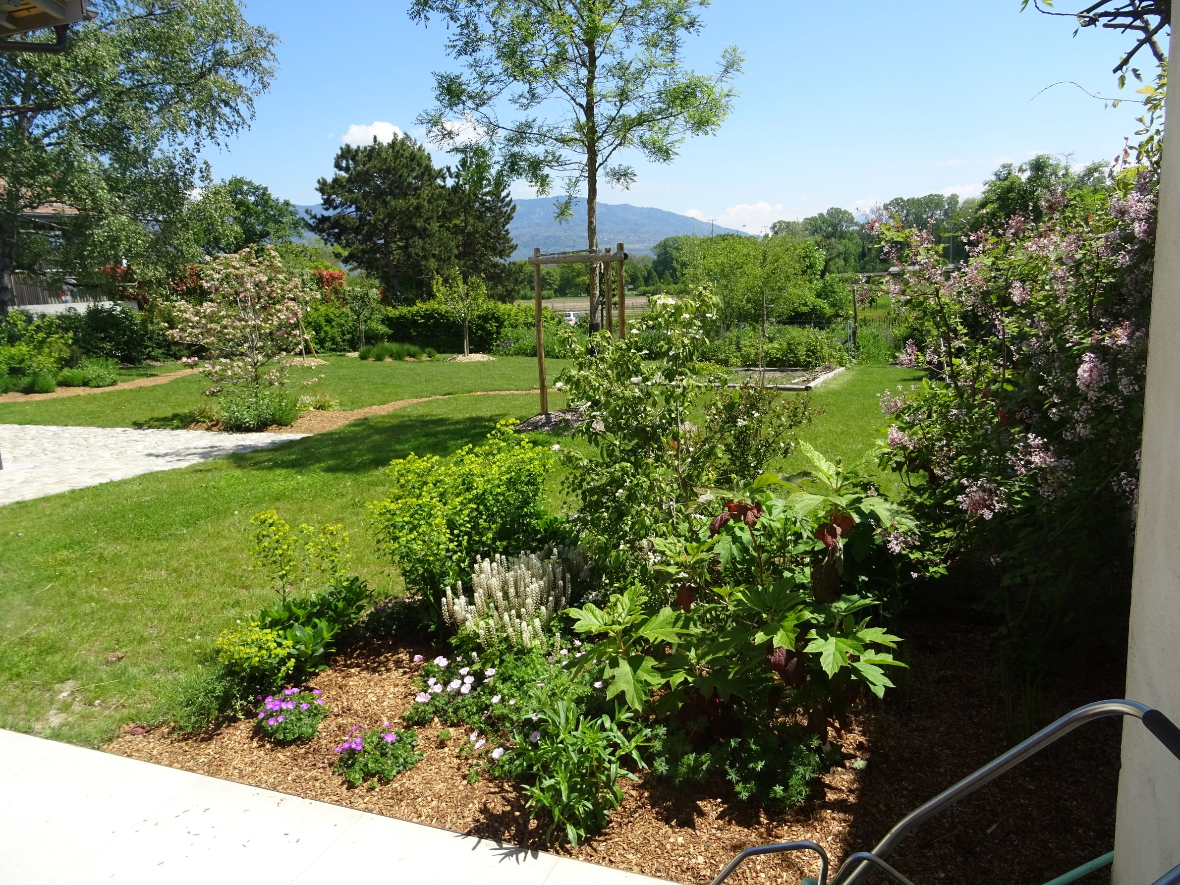 Bilder Nicolas Varidel Nature+Jardins