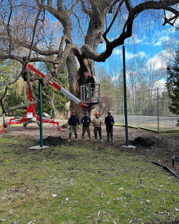 Images Deering Tree Service