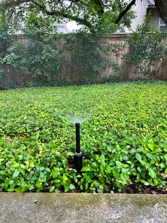 Images Green Drops Irrigation