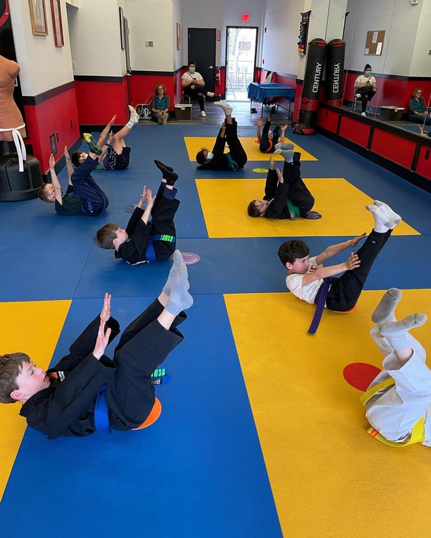 Images SDSS Martial Arts of Newton