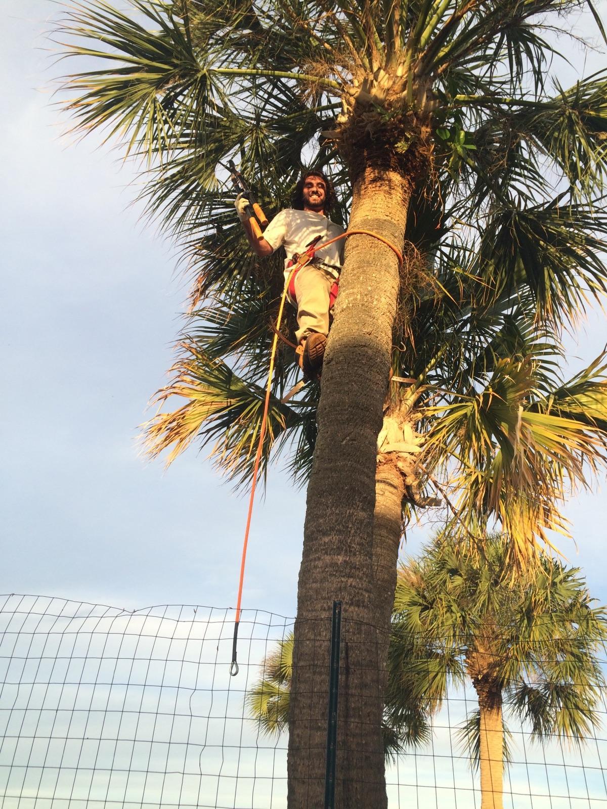 Theobald Upkeep LLC