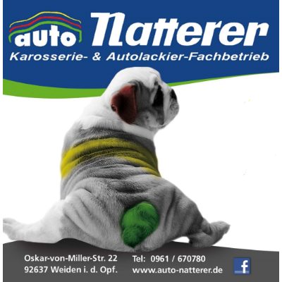 Karosserie u. Lackier-Fachbetrieb Auto Natterer GmbH in Weiden in der Oberpfalz - Logo