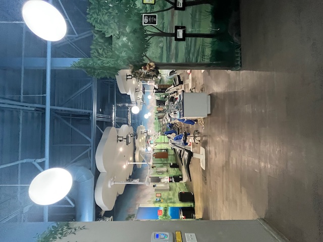 Dentistry for Children - Morrow Image