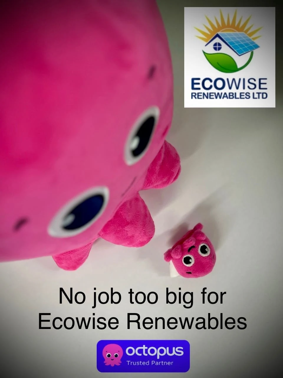 Images Ecowise Renewables Limited