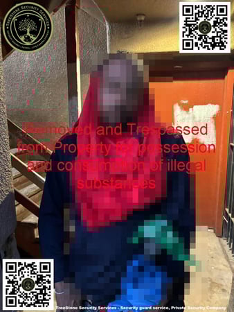 Images TreeStone Security Services