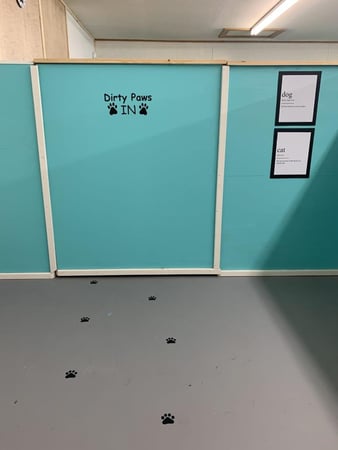 Images Pet Palace