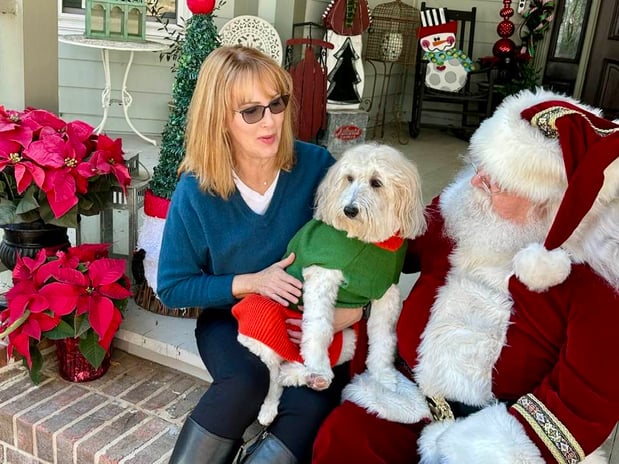 Images Ann Sullivan - State Farm Insurance Agent