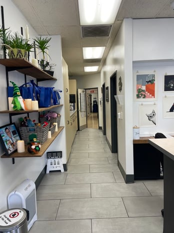 Images VCA Irvine Boulevard Animal Hospital