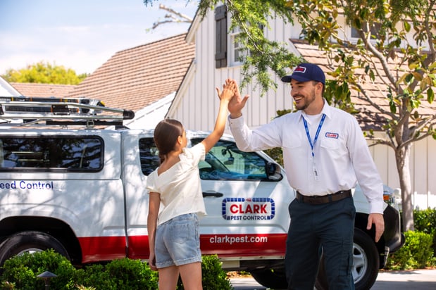 Images Clark Pest Control