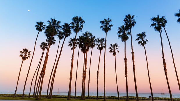 Images Andrade Law Offices