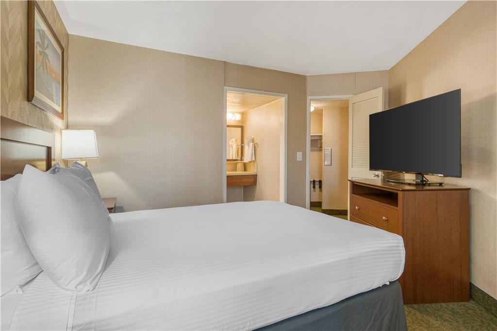 Queen Suite