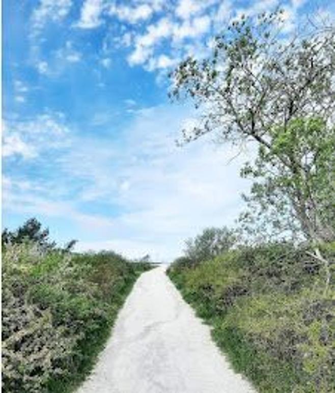 Images Berg Medial Kommunikation