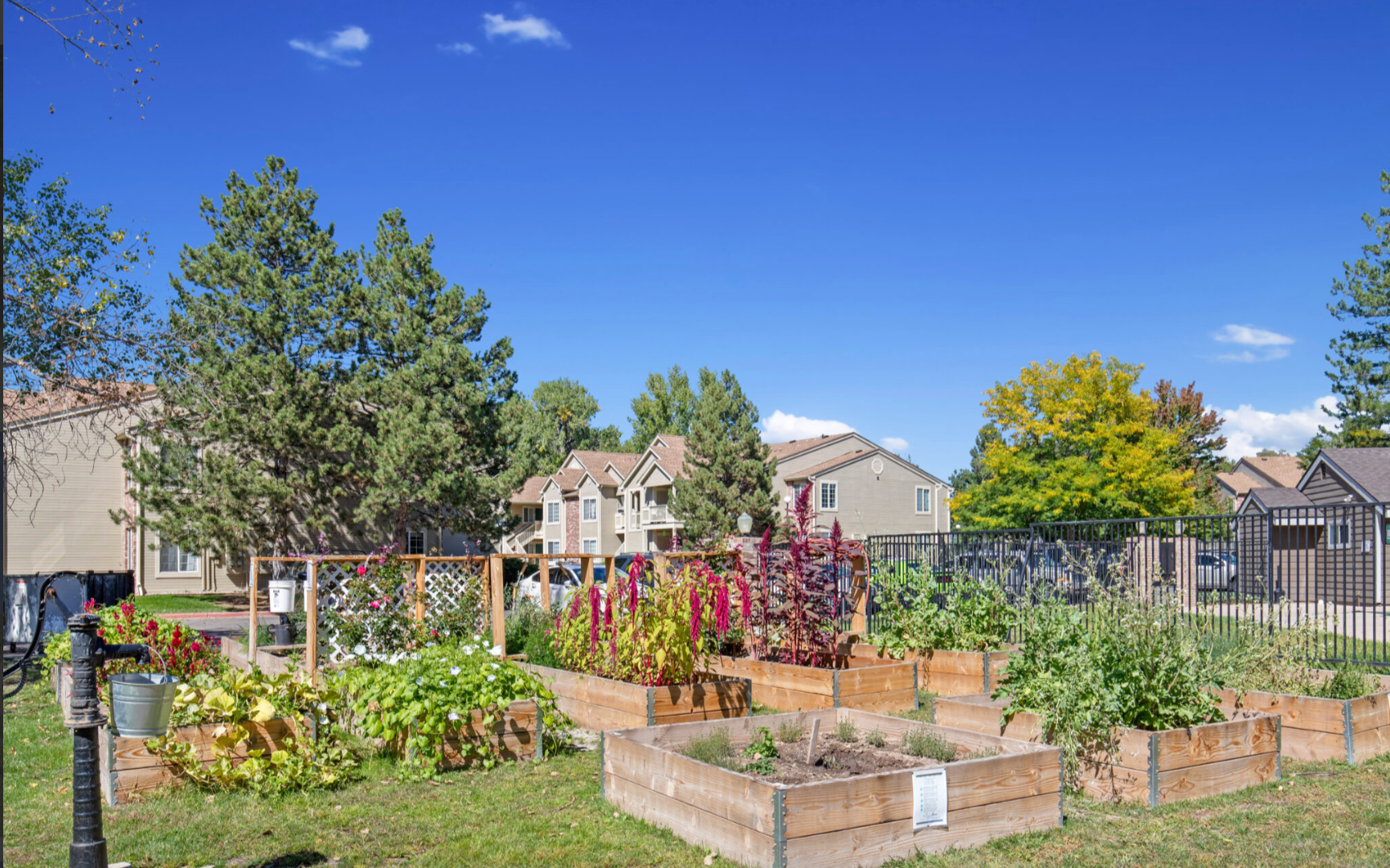 Flower and plant garden.