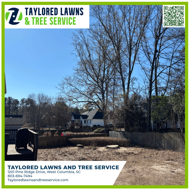 Images Taylored Lawns & Tree Service