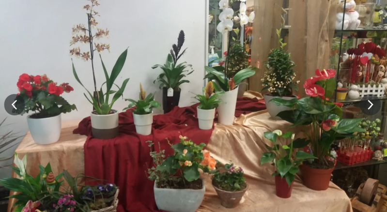 Fiori Lysa Fiori Composizioni Servizio Euroflora