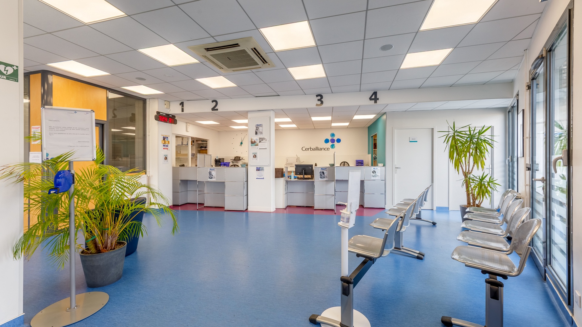 Miniature de la galerie