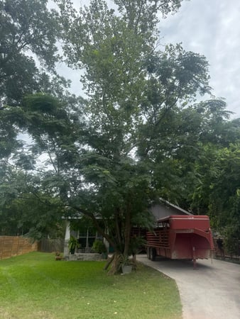 Images Twisted Oaks Tree Services LLC