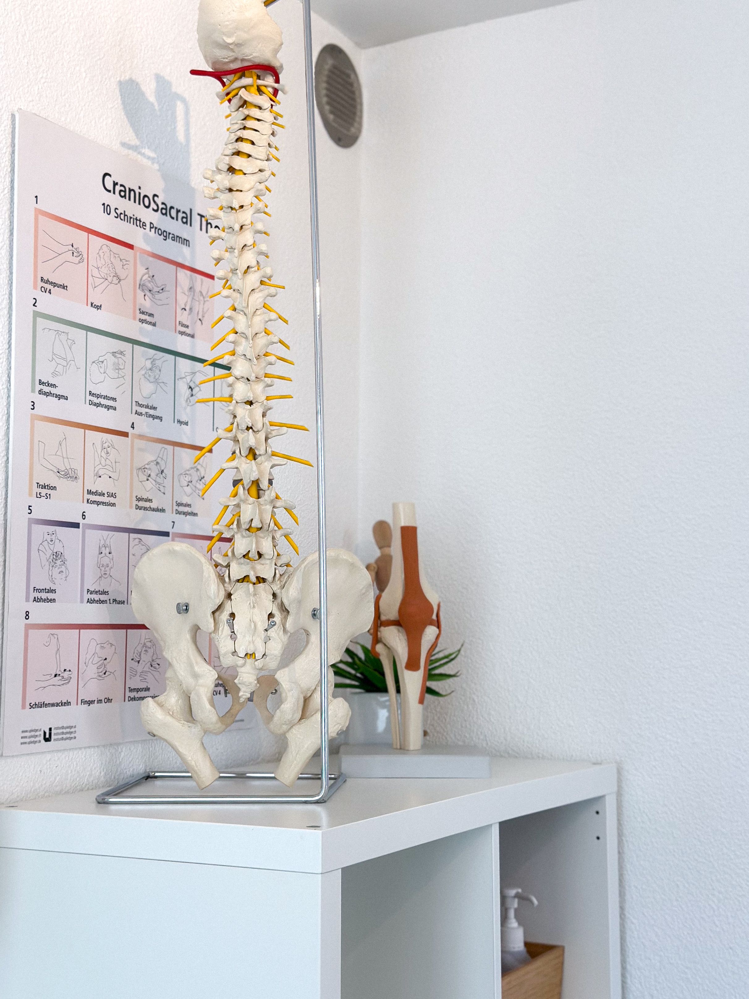Bilder Physiozone AG Kreuzlingen