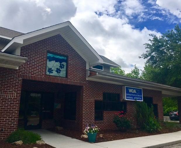Images VCA Wrightsville Beach Animal Hospital